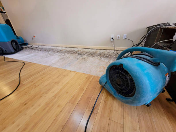 Professional Basement Flood Cleanup technician working in Milan, IN